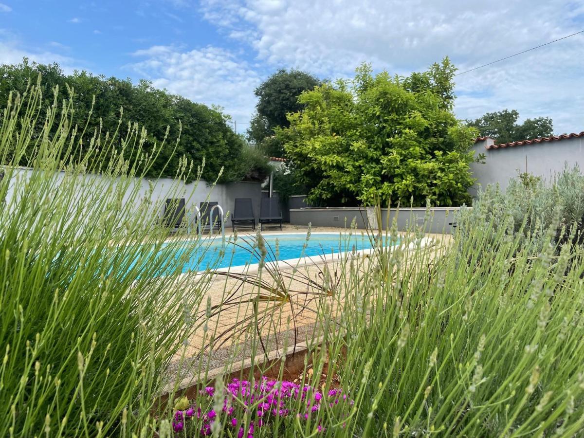 Villa Elisa Kaštelir 외부 사진
